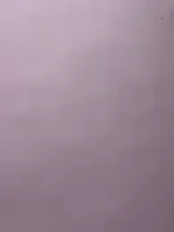 Cute_palak001 — Stripchat recorded stream screenshot (14 Mar 2026)