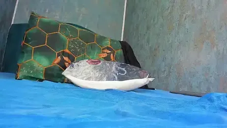 RedAssHottie — Stripchat recorded stream screenshot (18 Mar 2026)