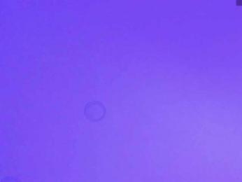 Gisell-Montoy — Bongacams recorded stream screenshot (20 Mar 2026)