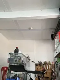 Paul22cm- — Stripchat recorded stream screenshot (23 Mar 2026)