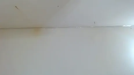 Jhhan234 — Stripchat recorded stream image, 24.03.2026 05:10