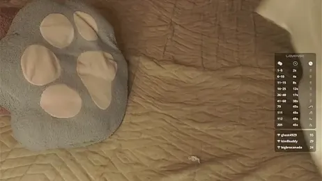 DarylBarks — Stripchat recorded stream screenshot (27 Mar 2026)