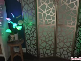 heatherbby — Chaturbate recorded stream screenshot (08 Mar 2025)