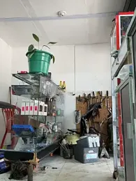 Paul22cm- — Stripchat recorded stream screenshot (30 Mar 2026)