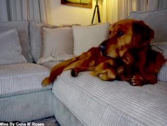 x_lily_x — Chaturbate recorded stream screenshot (31 Mar 2026)