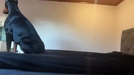 ClaireDeLunee — Stripchat recorded stream screenshot (31 Mar 2026)