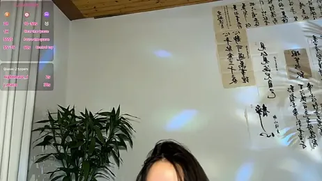 meowLili — Stripchat recorded stream screenshot (08 Apr 2026)