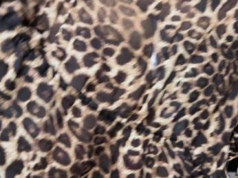 -Molly- — Bongacams recorded stream screenshot (09 Apr 2026)