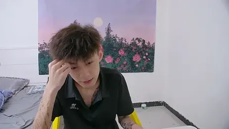 paofu-001 — Stripchat recorded stream screenshot (14 Apr 2026)