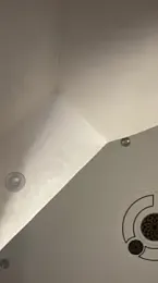 fatisexy — Stripchat recorded stream screenshot (14 Apr 2026)