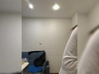 GORIGLAZ — Bongacams recorded stream image, 25.04.2026 19:30