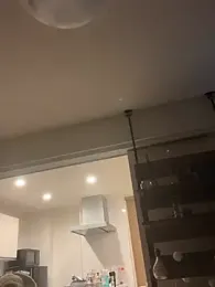 IroManager — Stripchat recorded stream image, 29.04.2026 11:10