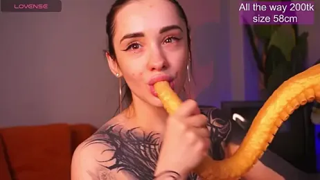 EvaCanton — Stripchat recorded stream image, 03.05.2026 02:00