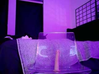 midnightrose11 — Camsoda recorded stream image, 14.05.2026 07:00