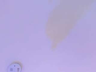 steffanybeckk — Camsoda recorded stream image, 30.05.2026 11:20