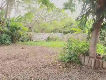 paoguerrax354 — Chaturbate recorded stream image, 07.06.2026 20:40