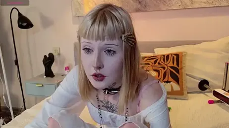 MilkMeSoftly — Stripchat recorded stream image, 11.06.2026 08:50