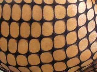 alishagoddes — Camsoda recorded stream image, 12.06.2026 06:30