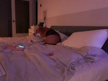 emmsee — Bongacams recorded stream image, 05.07.2026 17:50