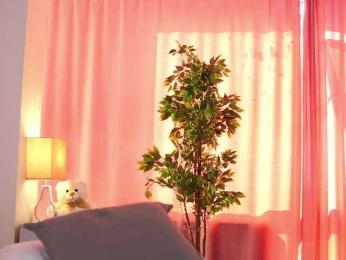 ArtTeasee — Bongacams recorded stream image, 12.03.2025 09:30