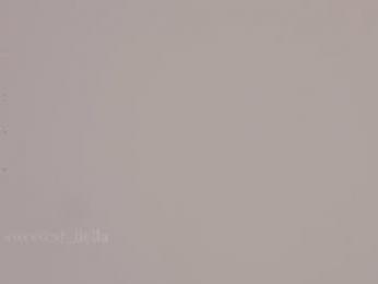 sweetest_bella — Chaturbate recorded stream image, 13.08.2026 19:20