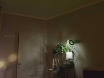 KOTTYAA — Bongacams recorded stream image, 21.08.2026 16:40