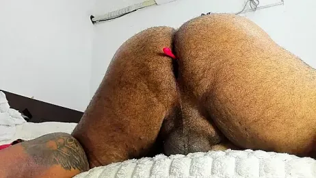 Bearspigdirty — Stripchat recorded stream image, 11.09.2026 15:00