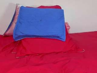 bss-naia — Camsoda recorded stream screenshot (19 Mar 2025)