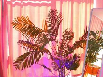 ArtTeasee — Bongacams recorded stream image, 20.03.2025 09:30
