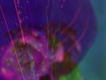 HeyBanana — Bongacams recorded stream screenshot (23 Mar 2025)