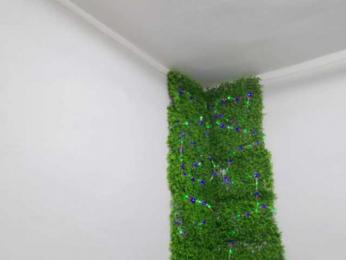 EmilyxJames — Bongacams recorded stream image, 23.03.2025 20:00