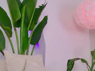 kali-hill — Camsoda recorded stream image, 02.04.2025 05:20