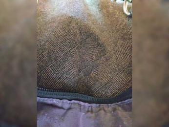EditaMilf — Bongacams recorded stream image, 14.04.2025 00:00