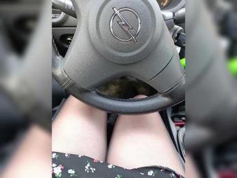 Angelia22 — Bongacams recorded stream image, 19.04.2025 06:50