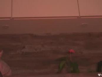 agent_blonde — Chaturbate recorded stream image, 30.04.2025 16:10