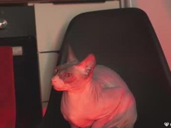 agent_blonde — Chaturbate recorded stream image, 30.04.2025 16:10